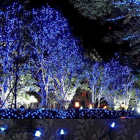 MXTCLM C6 Christmas Lights, 50 LED Strawberry String Lights, 18.31ft Blue C6 Lights, Fairy Lights for Outdoor, Indoor, Garden, Yard, Home, Party, Christmas Tree Decorations (Blue)