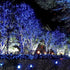 MXTCLM C6 Christmas Lights, 50 LED Strawberry String Lights, 18.31ft Blue C6 Lights, Fairy Lights for Outdoor, Indoor, Garden, Yard, Home, Party, Christmas Tree Decorations (Blue)