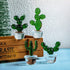 H&D HYALINE & DORA 4pcs Handmade Glass Blown Cactus Cute Crystal Art Cactus Figurines Collectibles Desk Tabletop Simulation Plants Decorations