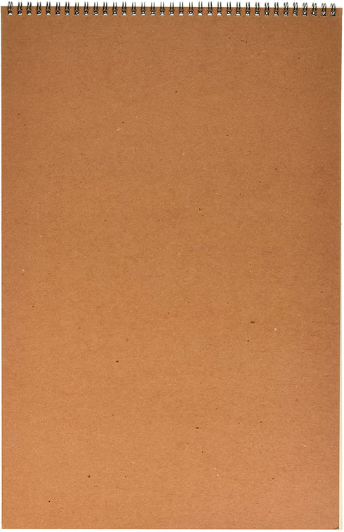 Strathmore (400-6 400 Series Drawing, Medium Surface, 12"x18", 24 Sheets , White