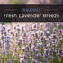 CANDLE-LITE Fresh Lavender Breeze Jar Candles, 18 oz