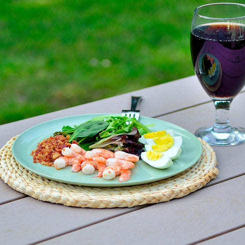 Youngever 10 Inch Plastic Plates, Large Plates, Dinner Plates, Set of 9 (9 Urban Colors)