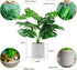 WUKOKU 2pcs Fake Plants 16" Faux Plants Artificial Potted Plants for Home Office Farmhouse Kitchen Bathroom Table Shelf Decor