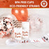 Bachelorette Party Decorations | Bridal Shower Supplies Kit - Bride To Be Sash, Cups, Straws, Veil, Banner, Balloons, Rose Gold Curtains & Decor Accessories
