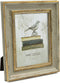 Afuly 5x7 Vintage Picture Frame Antique Photo Frames Retro Green and Gold Singleton Glass Tabletop Display Wall Mount Wedding Gifts Unique Gifts for Grandma
