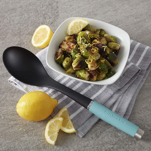 KitchenAid Gourmet Nylon Basting Spoon, One Size, Matte Aqua Sky