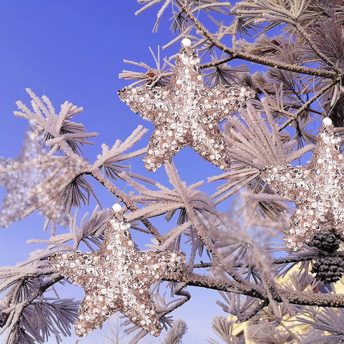 6" Five-Pointed Star Christmas Ornaments,4pc Set Cham/Rose Christmas Decorations Star for Xmas Trees Hanging Ornaments, Wedding Party Holiday Decorations (Cham/Rose)