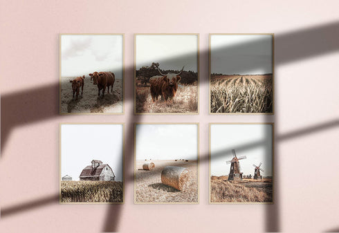 Highland Cow Art and Farmhouse Wall Decor - by Haus and Hues | Cow Wall Art and Farmhouse Pictures | Cow Decor | Cow Prints Wall Art | Cow Pictures Wall Decor, (11" x 14" UNFRAMED)