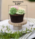 Wooden Cake Stands | Farm and Wedding Wood Cake Pedestal Stand | Surprise Cake Stand Made of Ash Wood | Size of Rustic Wood Cupcake Stand is 3.5 inches with 6 Pieces