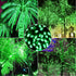 50ft 100 Count Green LED Christmas Lights Outdoor Indoor, Commercial Grade Green Wire, 5mm Wide Angle St. Patrick's Day Light Halloween Mini String Lights Outdoor Waterproof for Tree, Garland, UL