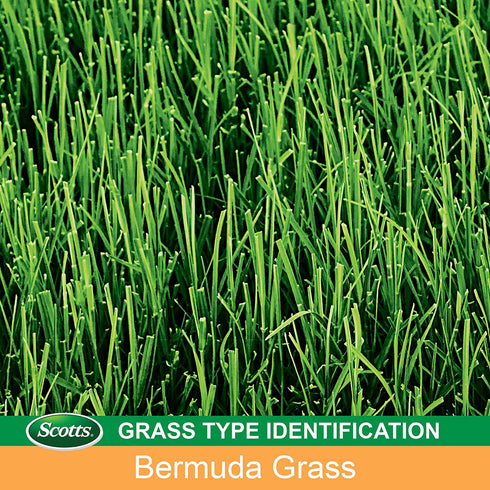 Scotts EZ Seed Patch and Repair Tall Fescue Lawns, 3.75 lb. - Combination Mulch, Seed, and Fertilizer - Tackifier Reduces Seed Wash-Away - Mix Covers up to 85 sq. ft.