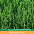 Scotts EZ Seed Patch and Repair Tall Fescue Lawns, 3.75 lb. - Combination Mulch, Seed, and Fertilizer - Tackifier Reduces Seed Wash-Away - Mix Covers up to 85 sq. ft.