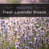 CANDLE-LITE Fresh Lavender Breeze Three Wick Aromatherapy Candle with 20-40 Hours of Burn Time, 10 oz, Light Purple