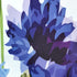 Cedriel Cornflower/Daisy Shower Curtain, Spring Blooming Blue and White Floral Pattern, Polyester Fabric, Waterproof Washable No-Fading with 12Hooks