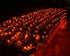 Joomer Orange Christmas Net Lights,12ft x 5ft 360 LED 8 Modes Adapter Bush Lights Connectable Mesh Netting Lights for Christmas Trees, Bushes, Wedding, Garden, Outdoor Decorations,Green Wire
