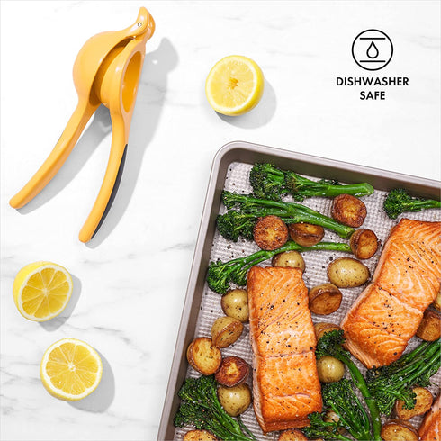 OXO Good Grips Citrus Squeezer