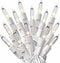 PREXTEX Christmas Lights (20 Feet, 100 Lights) - Clear White Christmas Tree Lights with White Wire - Indoor/Outdoor Waterproof String Lights - Warm White Twinkle Lights