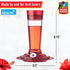 More Birds Bird Health+ Ruby Hummingbird Feeder, Glass Hummingbird Feeders for Outdoors, 4 Feeding Stations, 10 Ounces