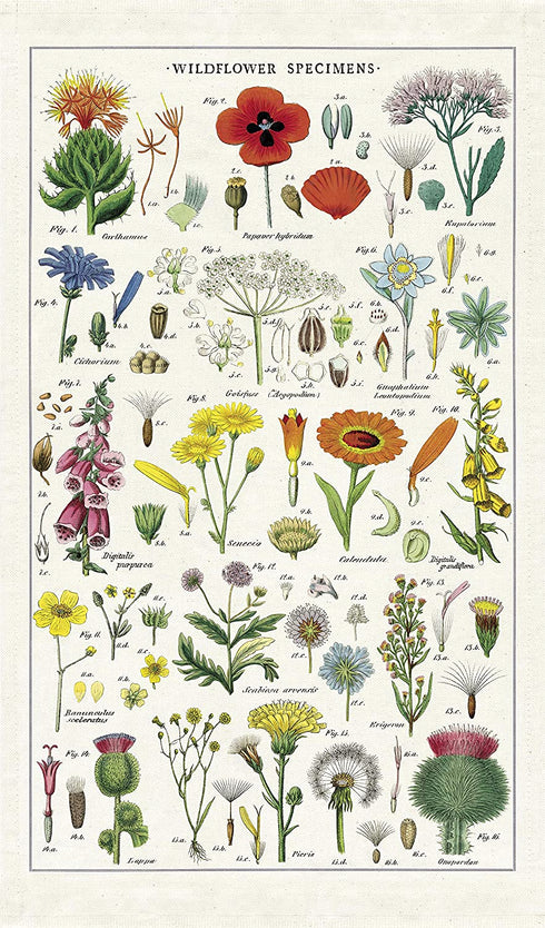 Cavallini & Co. Wildflowers Tea Towel, Multicolor