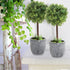 MyGift Artificial Boxwood Topiary Trees, Fake Plants Decor - 12 Inch Faux Tabletop Decorative Small House Plant with Gray Ceramic Pots, Set of 2