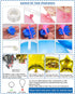 Blue Balloon Arch Kit 107+ pcs - 16 Ft Blue Balloon Garland Kit Dark Blue Balloons Water Blue White Chrome Silver Star Balloon Baby Shower Balloons Boy Birthday Party Globos Azules WF