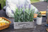 WITTY REMARK Fake Plants Artificial Lavender in Wooden Pots 10 Inches for Home Decoration Indoor/Outdoor Patio, Window, Table, Porch