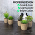 5 Artificial Succulents Plants Artificial Pot Small Fake Plants Bedroom Aesthetic Fake Succulent Plants - Cactus Decor Plants Bedroom Decor Potted Faux Succulents Desk Plant Shelf Decor Living Room