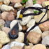 Emotional Body Purification Black Tourmaline Orgone Crystal Tear Drop Pendant for Strengthen Immune System - Heart - Self Confidence - Positivity