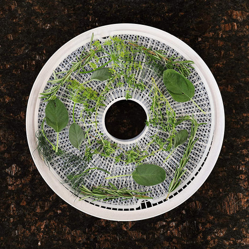 Nesco LM-2-6 13.5" Snackmaster Clean-A-Screen Food Dehydrators, 2 Count, White