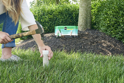 Miracle-Gro Tree & Shrub Plant Food Spikes, 12 Spikes/Pack