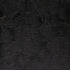 Winsor & Newton 1437331 Winton Oil Color Paint, 200-ml Tube, Ivory Black