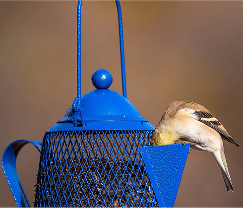 Perky Pet CFE101 Coffee Pot Mesh Bird Seed Feeder