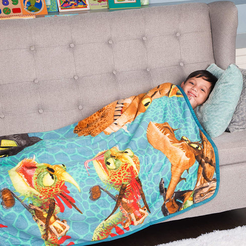Franco Kids Bedding Super Soft Plush Throw, 46" x 60", How to Train Your Dragon,A39088