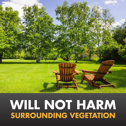 Spectracide HG-66420 Stump Remover, Pack of 1 , Black