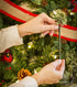 Scentsicles White Winter Fir, 1 bottle of 6 scented ornament.
