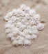 Small Natural White Sand Dollars 50 Pcs- Under 1.25 Inch - Small Sea Shell Perfect for Wedding or Crafts by Tumbler Home