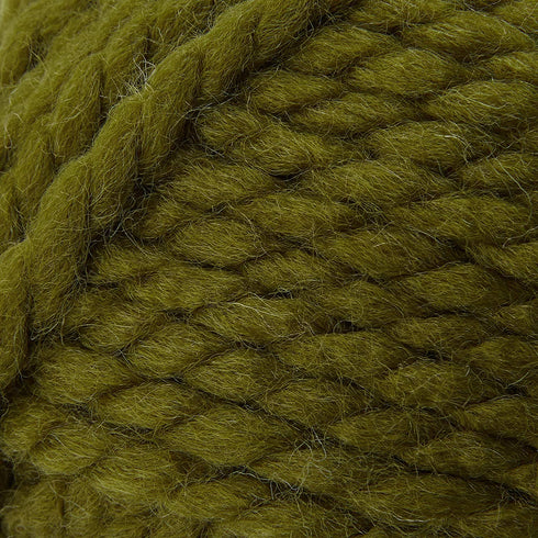 Lion  640-178F Wool-Ease Thick & Quick Yarn , 97 Meters, Cilantro