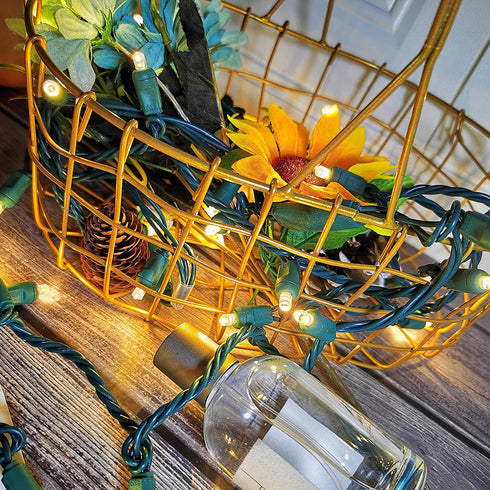 Yirunfa Christmas String Lights 50 Warm White LED 5mm Mini LED String Lights, 120V UL, 25ft Green Wire Xmas Lights for Indoor & Outdoor Use, Holiday Party Decorations,Trees, Light Displays