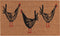 Now Designs 3075218aa Doormat, Chicken Scratch