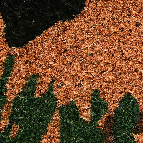 DII Animal Collection Natural Coir Doormat, 18x30, Bear Country
