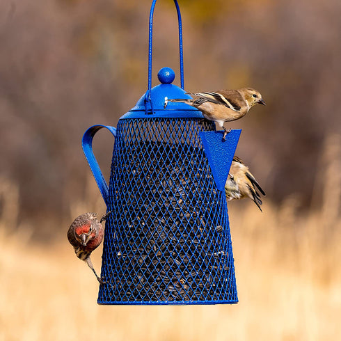 Perky Pet CFE101 Coffee Pot Mesh Bird Seed Feeder
