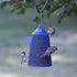 Perky Pet CFE101 Coffee Pot Mesh Bird Seed Feeder