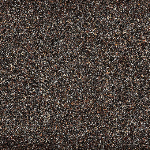 Kaytee Wild Bird Food Nyjer® Seed Finch Sock Twin Pack„¢ Instant Feeder 26oz