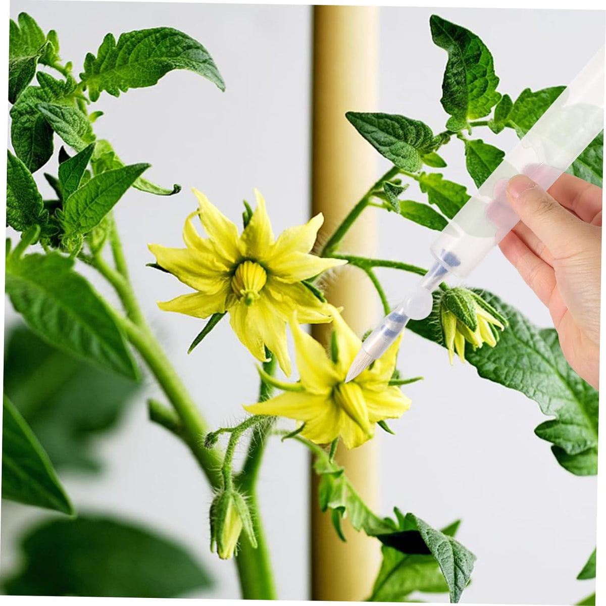 GANAZONO Vegetable pollinator Plant Brush Garden Planting Tool Indoor ...